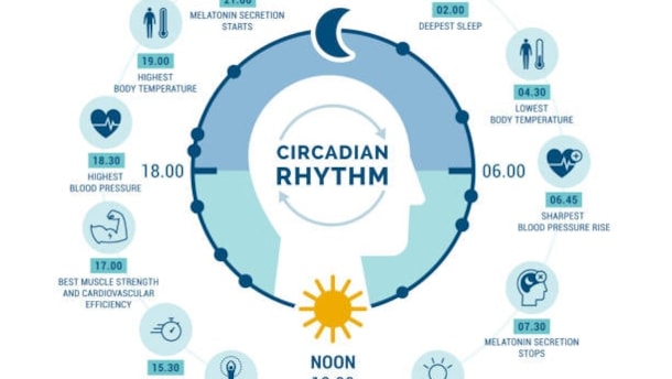 Circadian rhythm and Circadian Lighting