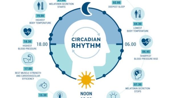 HOW TO REGULATE THE CIRCADIAN RHYTHM